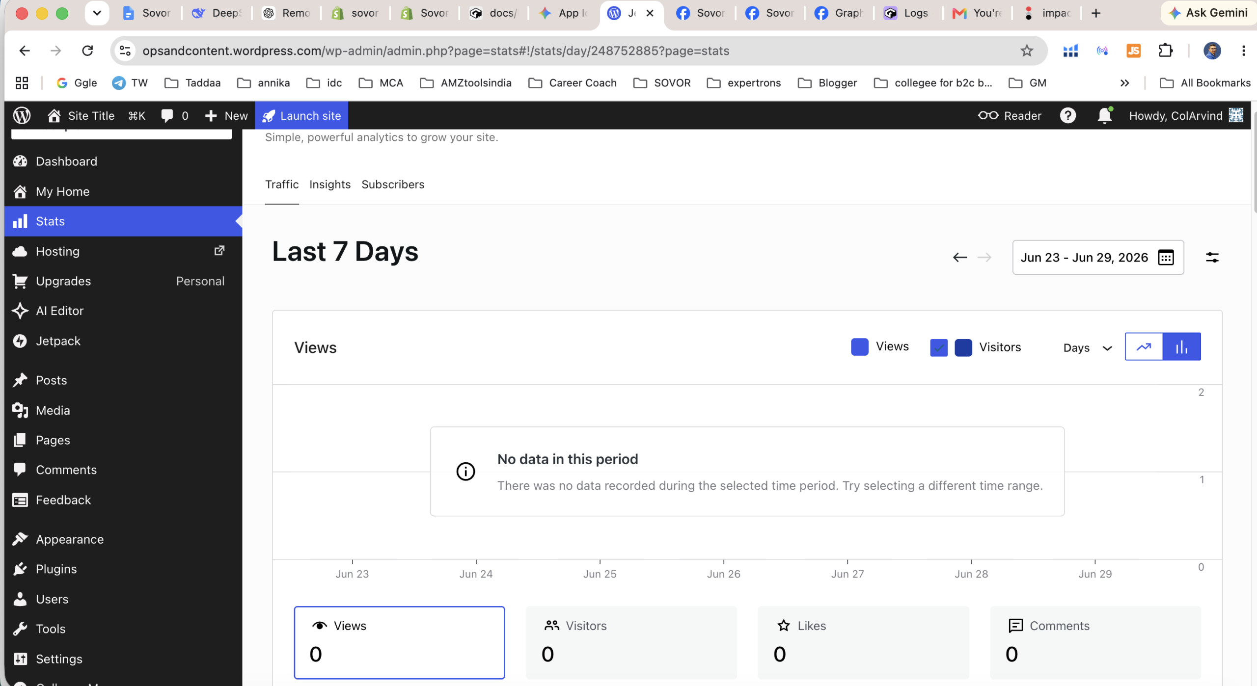 WordPress.com Jetpack statistics dashboard showing native traffic and visitor charts
