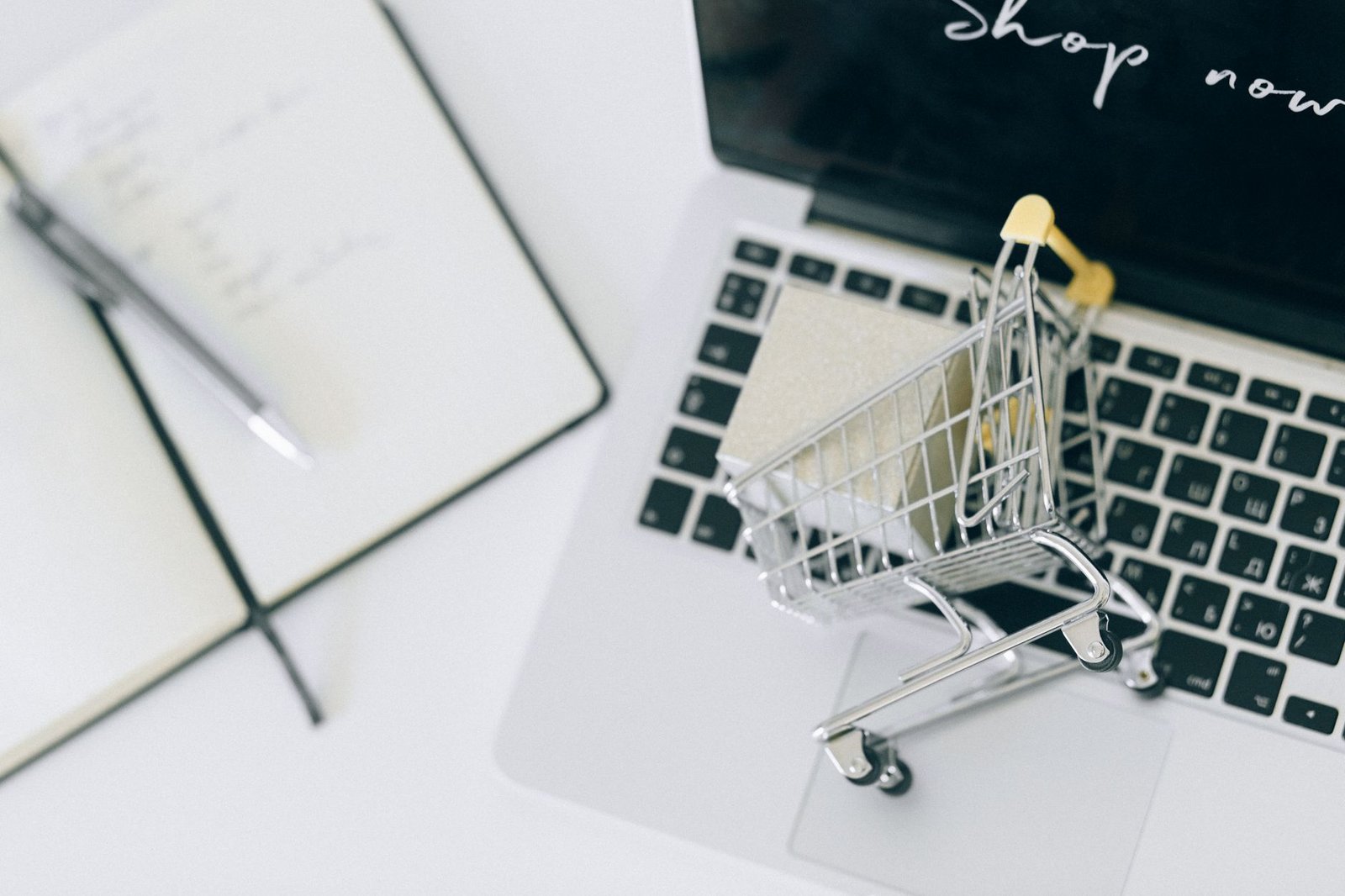 online marketplace business for an online business model guide
